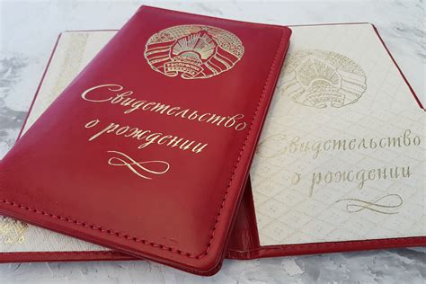 Обложка для свидетельства о рождении. Красная кожаная с тисненем