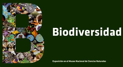 Exposición Permanente Sobre Biodiversidad En El Museo Nacional De Ciencias Naturales Fundación