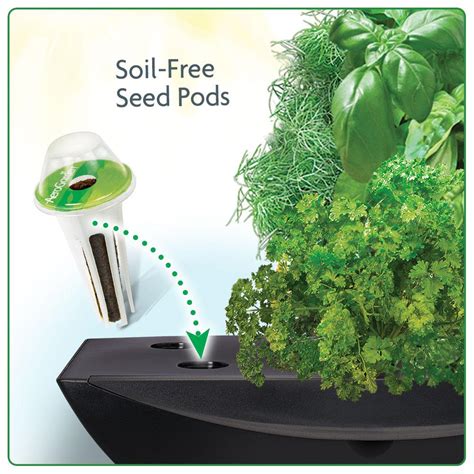 Aerogarden Led Indoor Garden With Gourmet Herb Seed Pod Kit Amazon