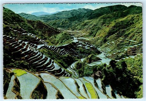 Philippines Agriculture Banaue Rice Terraces Wonder Of The World X