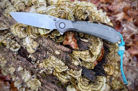 Bestech Knives Constellation Review | GearJunkie