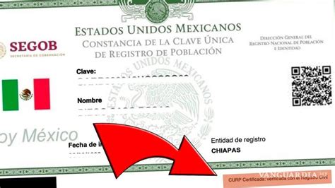 Te Piden La Curp Certificada Qu Es Y C Mo Se Tramita Este