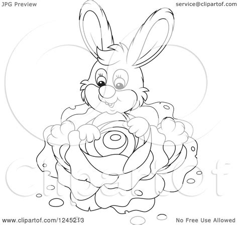 Clipart Of A Black And White Happy Bunny Rabbit Sitting With Cabbage In A Garden Royalty Free