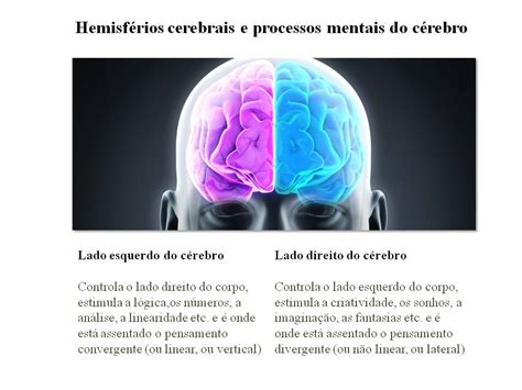 Daniel Kahneman E Hemisf Rios Cerebrais