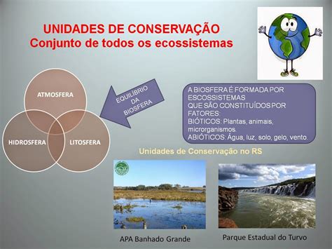 Unidade De Conservação Ambiental - 10