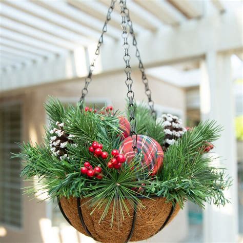 Xmas Hanging Basket Christmas Hanging Baskets Christmas Plants Christmas Arrangements