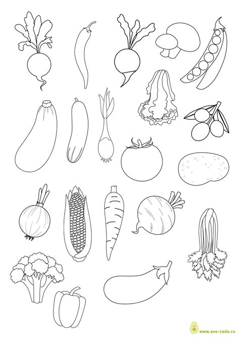 Овощи трафарет - 72 фото
