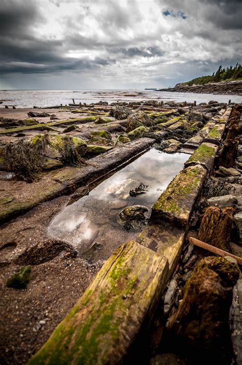 The Fallsview funeral home saint john nb has a unique garden 5