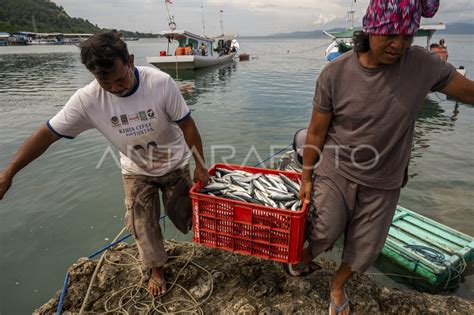 Keterlibatan Bumn Di Industri Kelautan Dan Perikanan Antara Foto