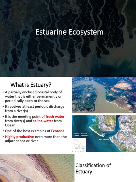 how to pronounce estuarine