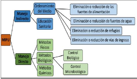 El Manejo Integrado De Plagas Urbanas Mipu Intagri S C