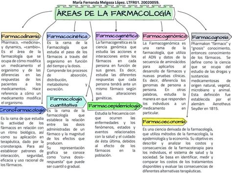 Ramas De La Farmacologia Mapa Conceptual Gretama Hot Sex Picture