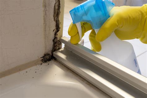 Tenant Fact Sheet Managing Condensation Dampness And Mould In Your