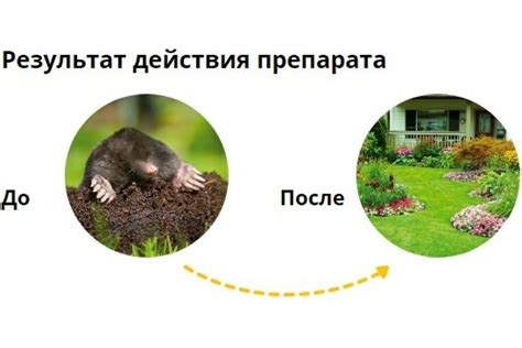 Гранулы для отпугивания кротов Avgust Кротомет, Г, 75 г A00058 ...