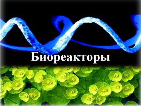 Биореакторы. Принцип действия биореактора - презентация онлайн