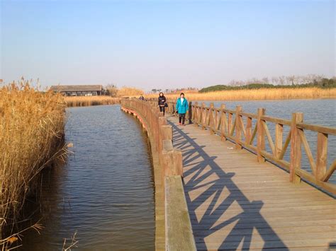 东滩湿地公园崇明东滩湿地公园攻略地址图片门票【携程攻略】