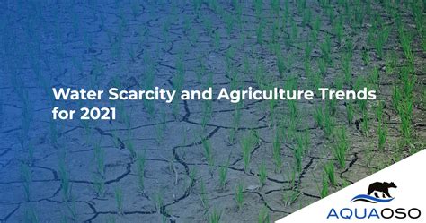 Water Scarcity And Agriculture Trends for 2021 - What Can We Do? 