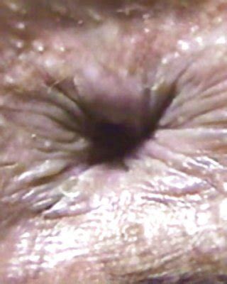 Carole Vitale Nude Porn Pics Leaked Xxx Sex Photos App Page Pictoa