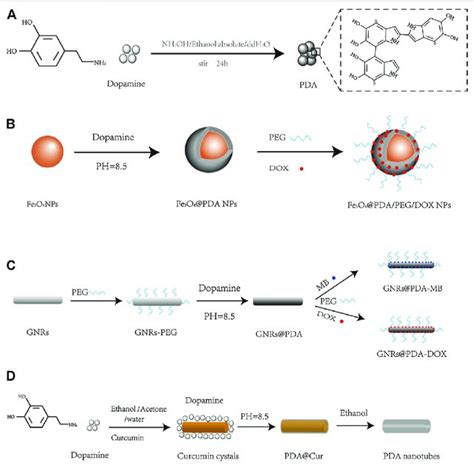 Schematic Diagram Of Pda Nanomaterial Synthesis Such As A Pda Nps