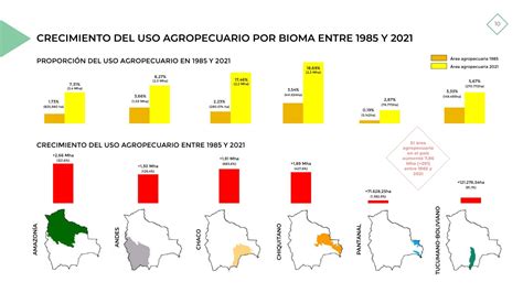 Bolivia Perdió Casi Ocho Millones De Hectáreas De Bosques Y Más De La