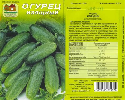 Огурец Изящный: описание сорта, урожайность и характеристика