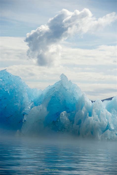 Ice fog around iceberg — Photo Tours