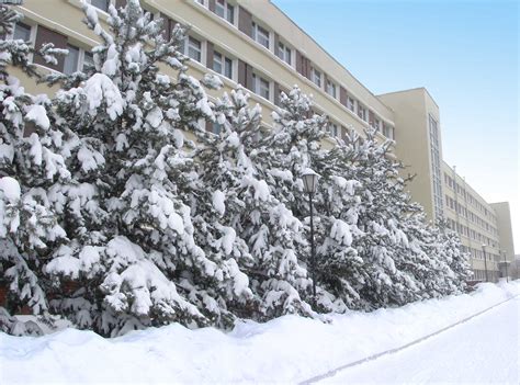 Галерея