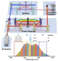 Phys Rev Research R Versatile Multipartite