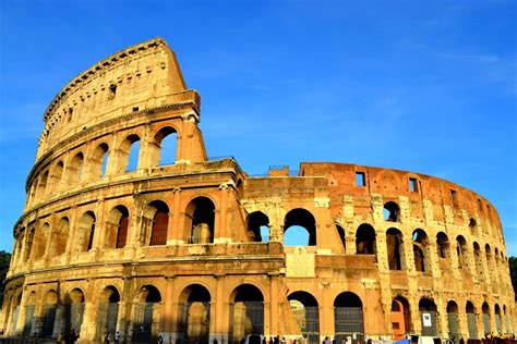 colosseum  brain chamber