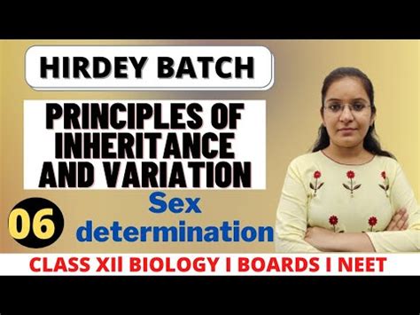 Sex Determination Class Biology Chapter YouTube