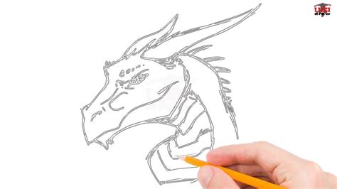25 Easy Dragon Head Drawing Ideas How To Draw