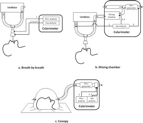 schematic   indirect calorimetry   patients