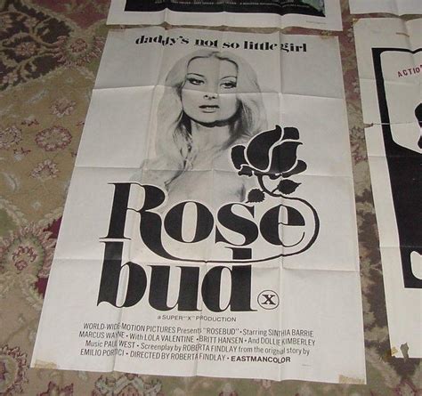 Vintage X Rated Movie Posters Bad Scene Erika S Hot Summer Rose Bud