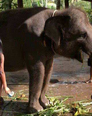 Zahra Rai Nude Porn Pictures Xxx Photos Sex Images Pictoa