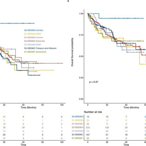 Prognostic Analysis Of Seven Mutational Signatures Dominant Hcc