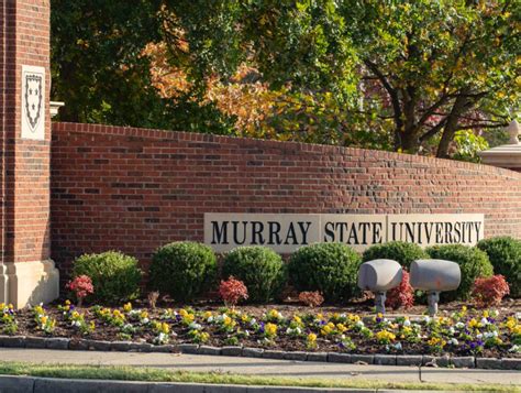 Complete canvas murray state view now Box