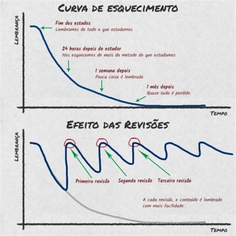 Entenda o que é a Curva de Esquecimento de Hermann Ebbinghaus Jaula