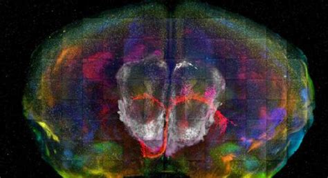 Seeing What The Naked Eye Cant Quality Digest