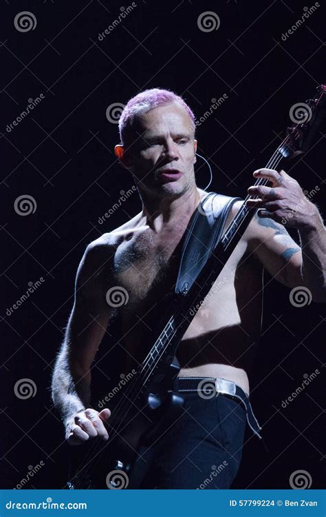 Red Hot Chili Peppers Flea Editorial Stock Image Image Of Chili Live