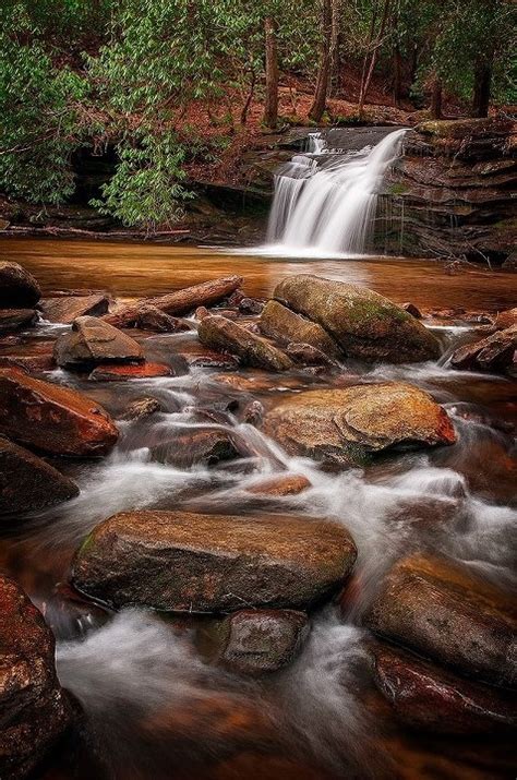 165 Best South Carolina Smiling Faces Beautiful Places Images On