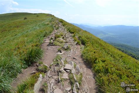 Rzu Wszystko I Jed W Bieszczady