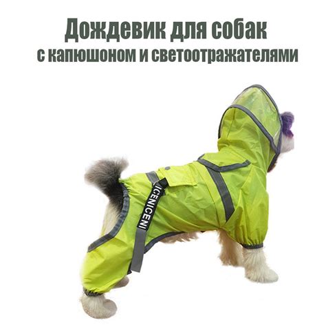 Дождевик для собак мелких и средних пород - купить с доставкой по ...