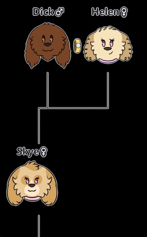 Paw patrol | Fandom