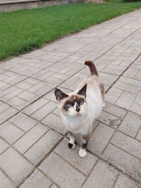 photo1660465837 — Postimages