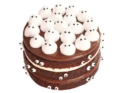 Spooky Naked Chocolate Cake Matilda Cake