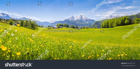 Meadow landscape 4,963,645 รายการ ภาพ ภาพสต็อกและเวกเตอร์ | Shutterstock