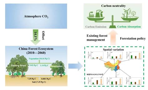 Science Bulletin｜2010～2060年中国森林碳汇的时空动态及其调控策略腾讯新闻