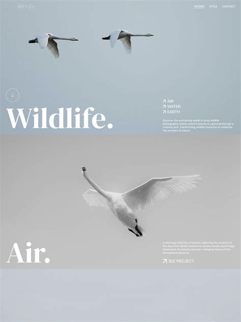 Explore Our Website Designs Colorbox