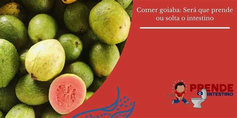 Goiaba Solta O Intestino - Comer goiaba: Será que prende ou solta o intestino