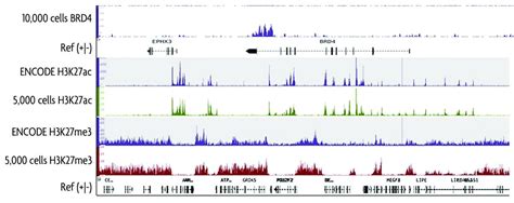 cell chip seq library preparation kit